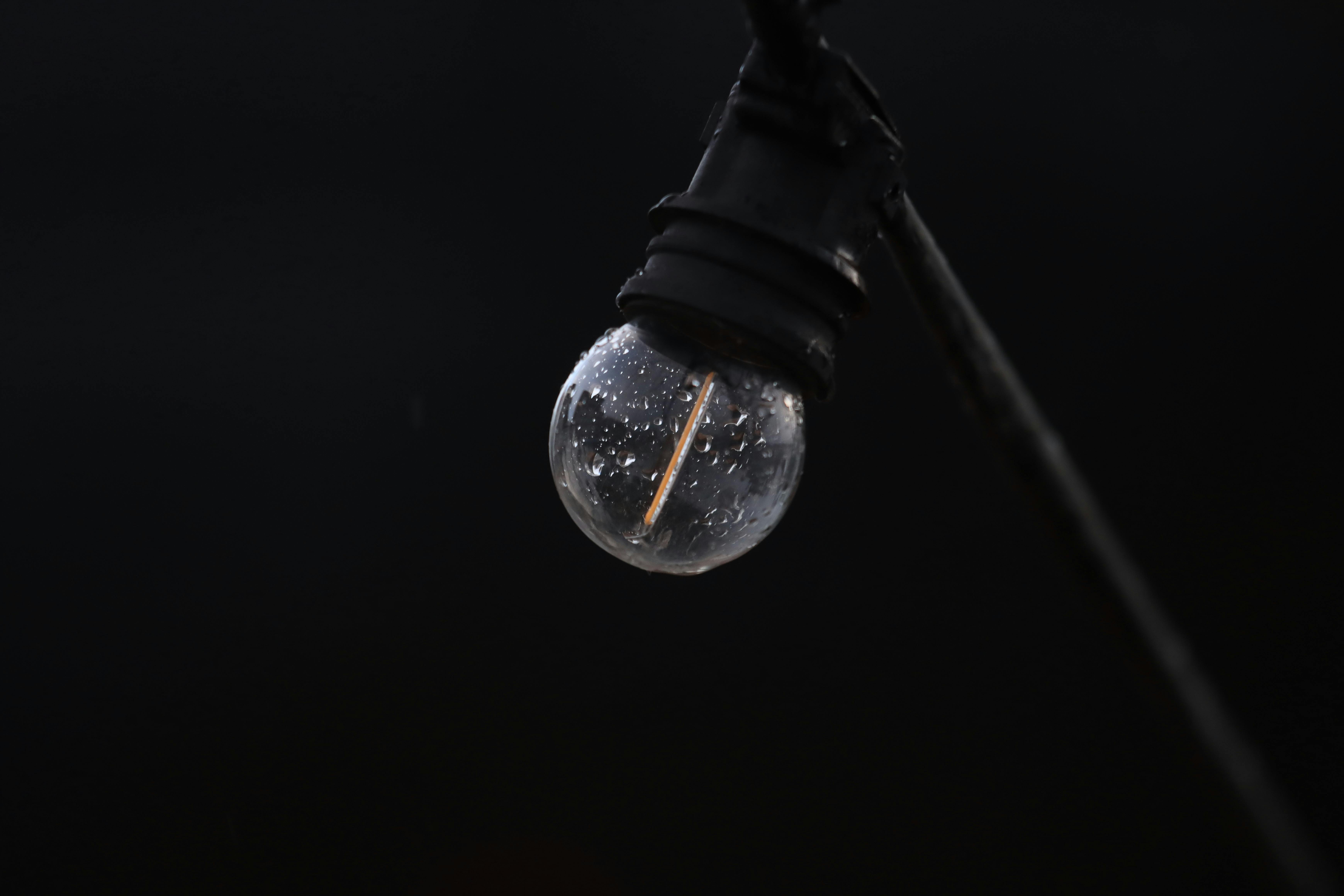 Imagen con fines ilustrativos | Foto: Pexels