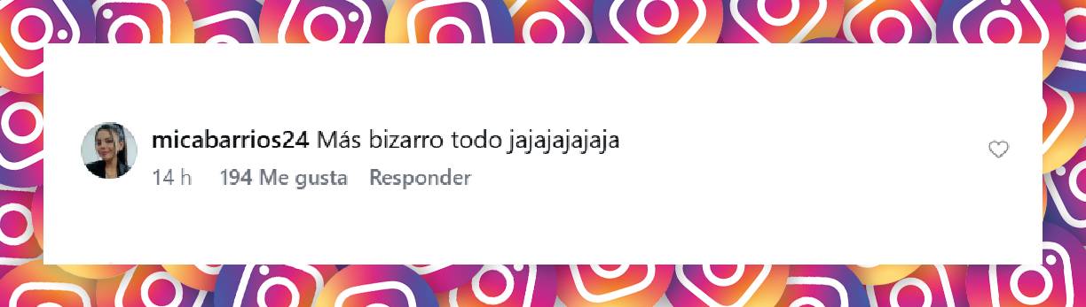 Comentario de una usuaria | Fuente: Instagram/granhermanoar
