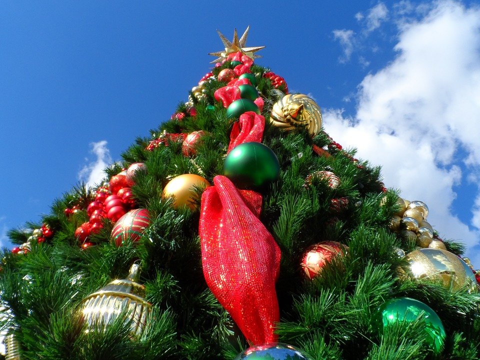 Árbol de Navidad con el cielo de fondo. | Foto: Pixabay