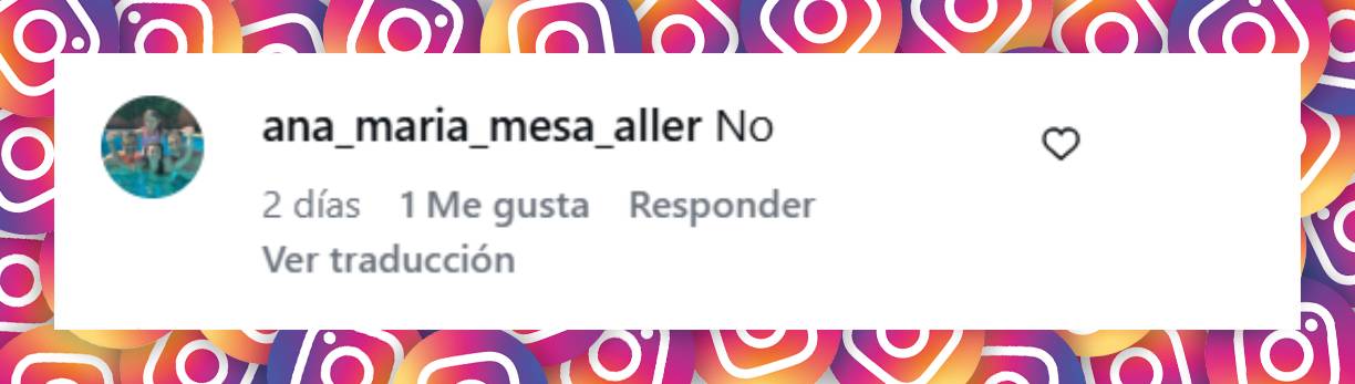 Comentario de una usuaria que desaprueba el look de Nicole Neumann | Fuente: Instagram/nikitaneumannoficial