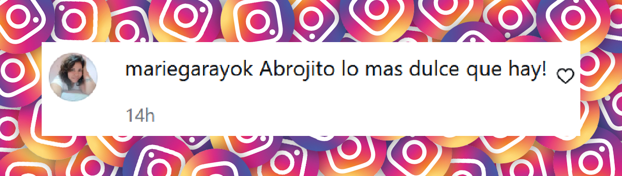 Comentario de una usuaria sobre la dulce foto que compartió Evangelina Anderson junto a sus tres hijos, Bastián, Lola y "Abrojito" | Fuente: Instagram/evangelinaanderson