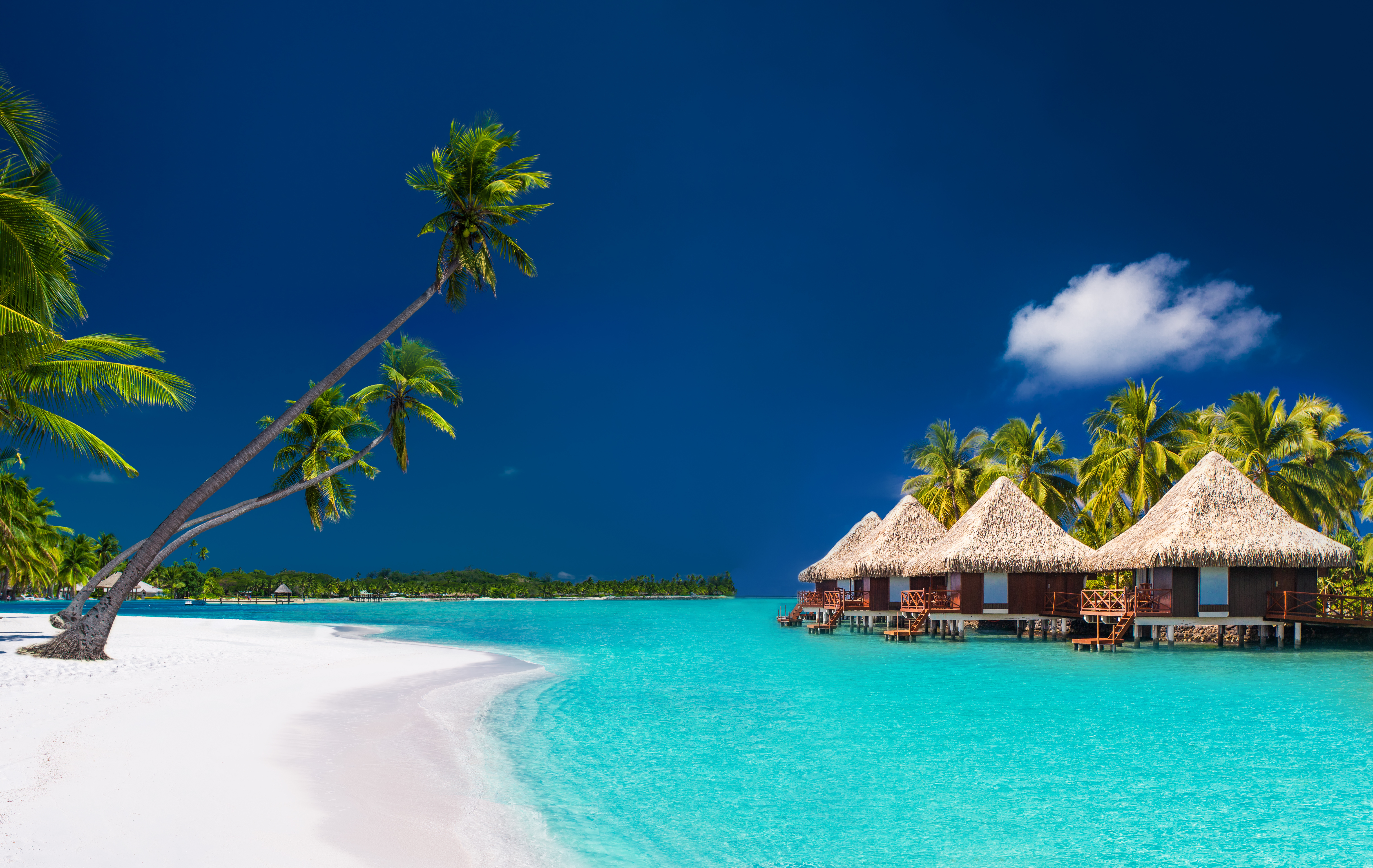 Villas junto a la playa en Bora Bora | Foto: Shutterstock