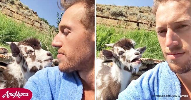 Hombre tuvo acalorada discusión con una cabra bebé y se convirtió en estrella de Internet