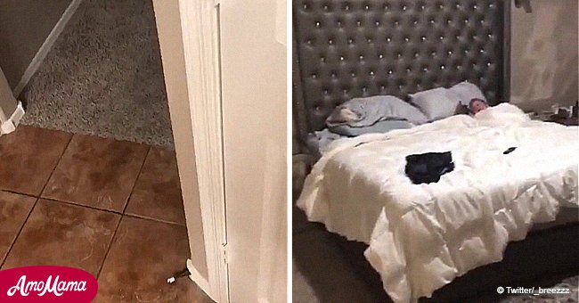 Papá escucha aullidos en habitación y filma interacción entre su hijo y su perro que se hace viral