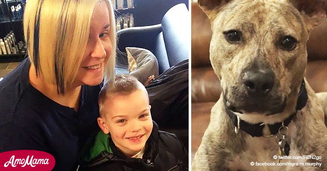 Repentino y agresivo ladrido de un perro salva la vida de un niño de 9 años