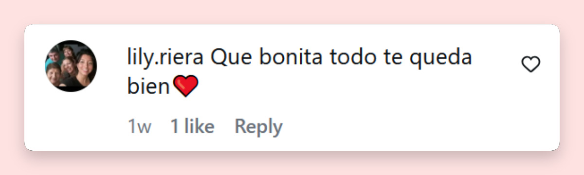 Comentario de una persona sobre India Ortega, la hija de Emanuel Ortega y Ana Paula Dutil | Fuente: Instagram/indiaortega