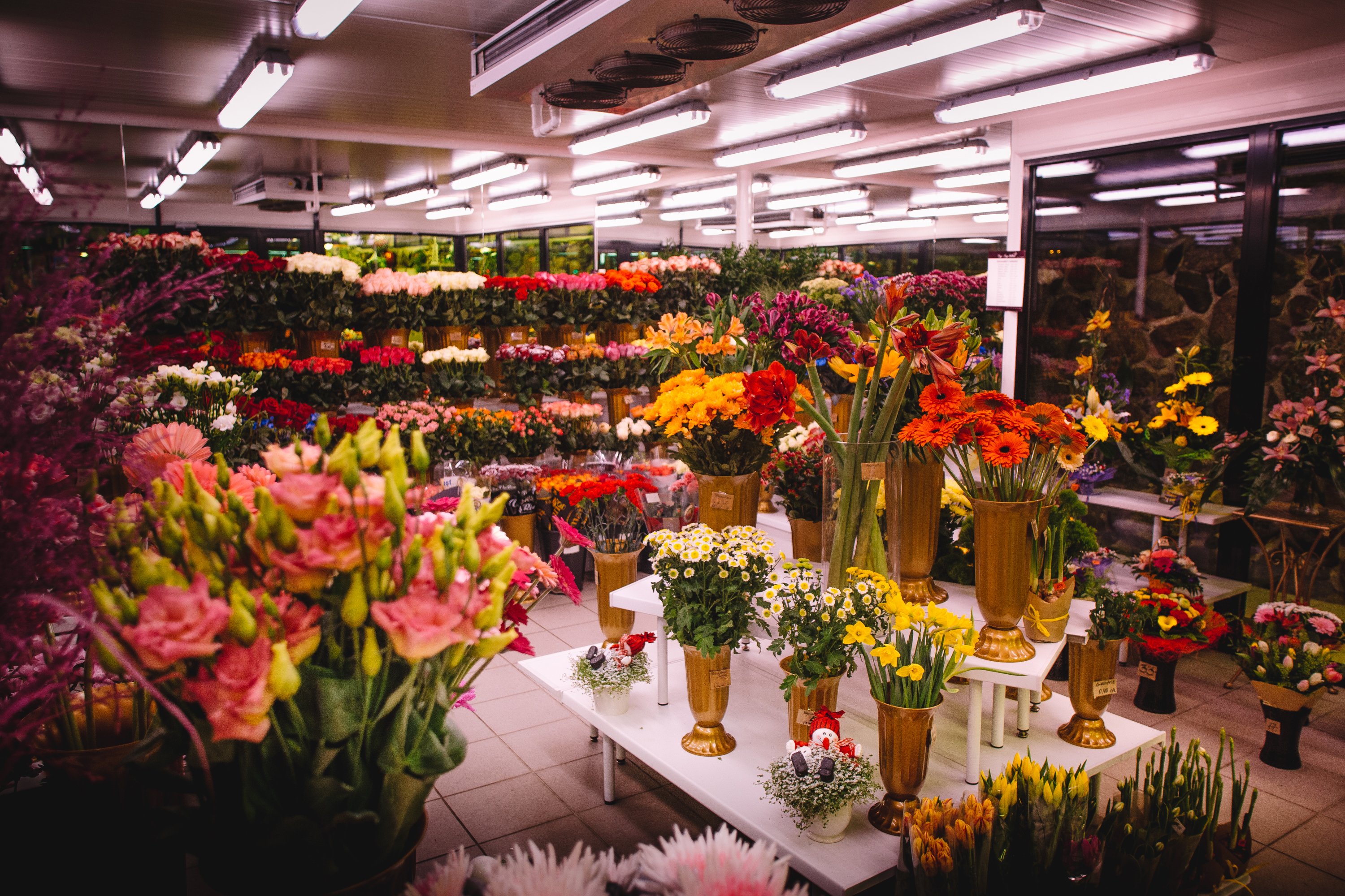 Enorme y hermosa floristería y amplio surtido de flores. | Fuente: Shutterstock
