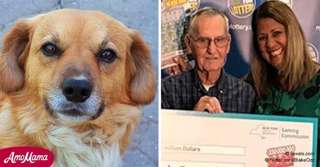 Abuelo de 73 años ganó lotería millonaria gracias a su amado perro