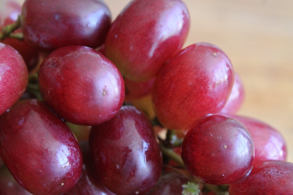 Racimo de uvas. | Imagen: Flickr