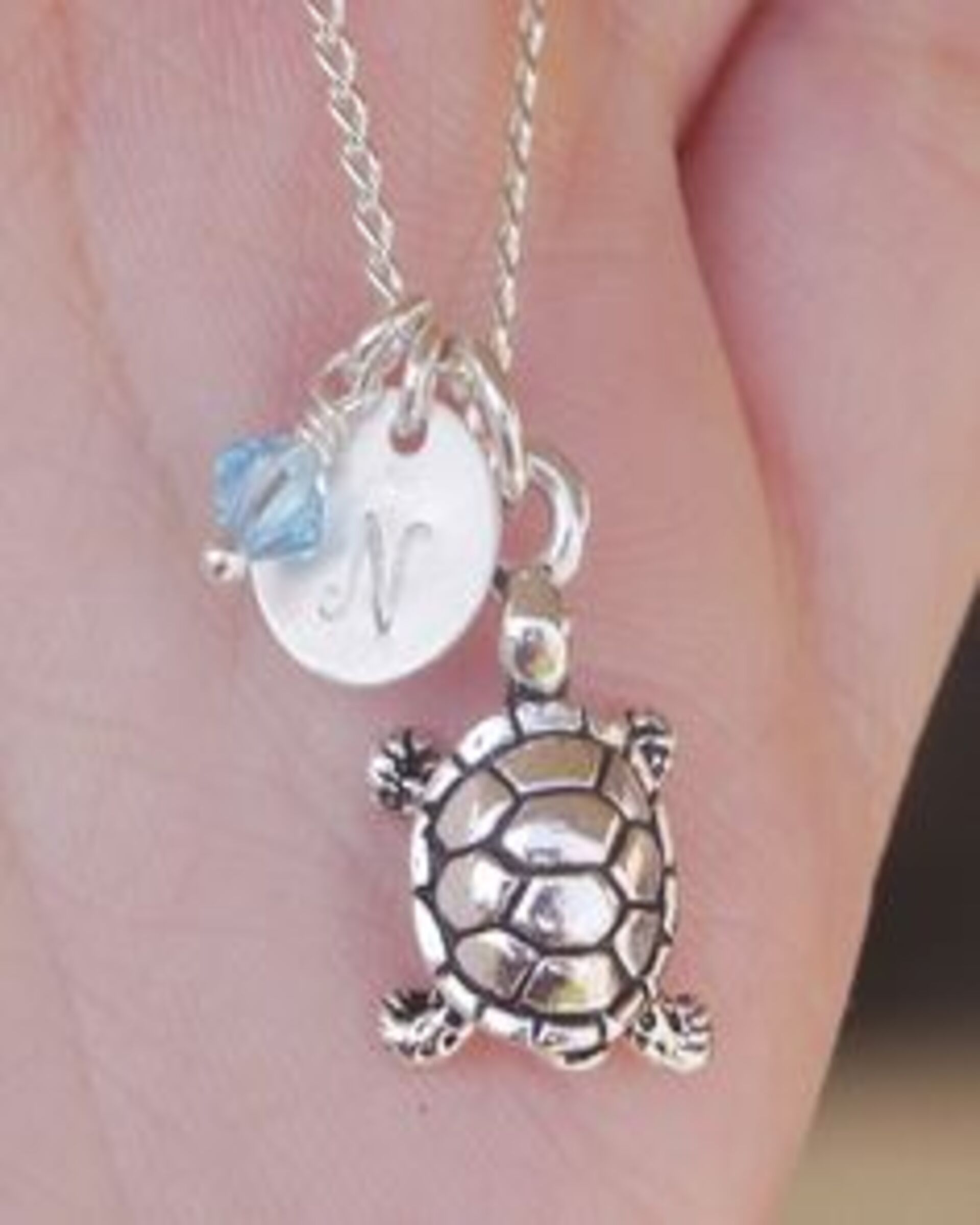 Un collar de tortuga con la inicial "N" | Fuente: Flickr