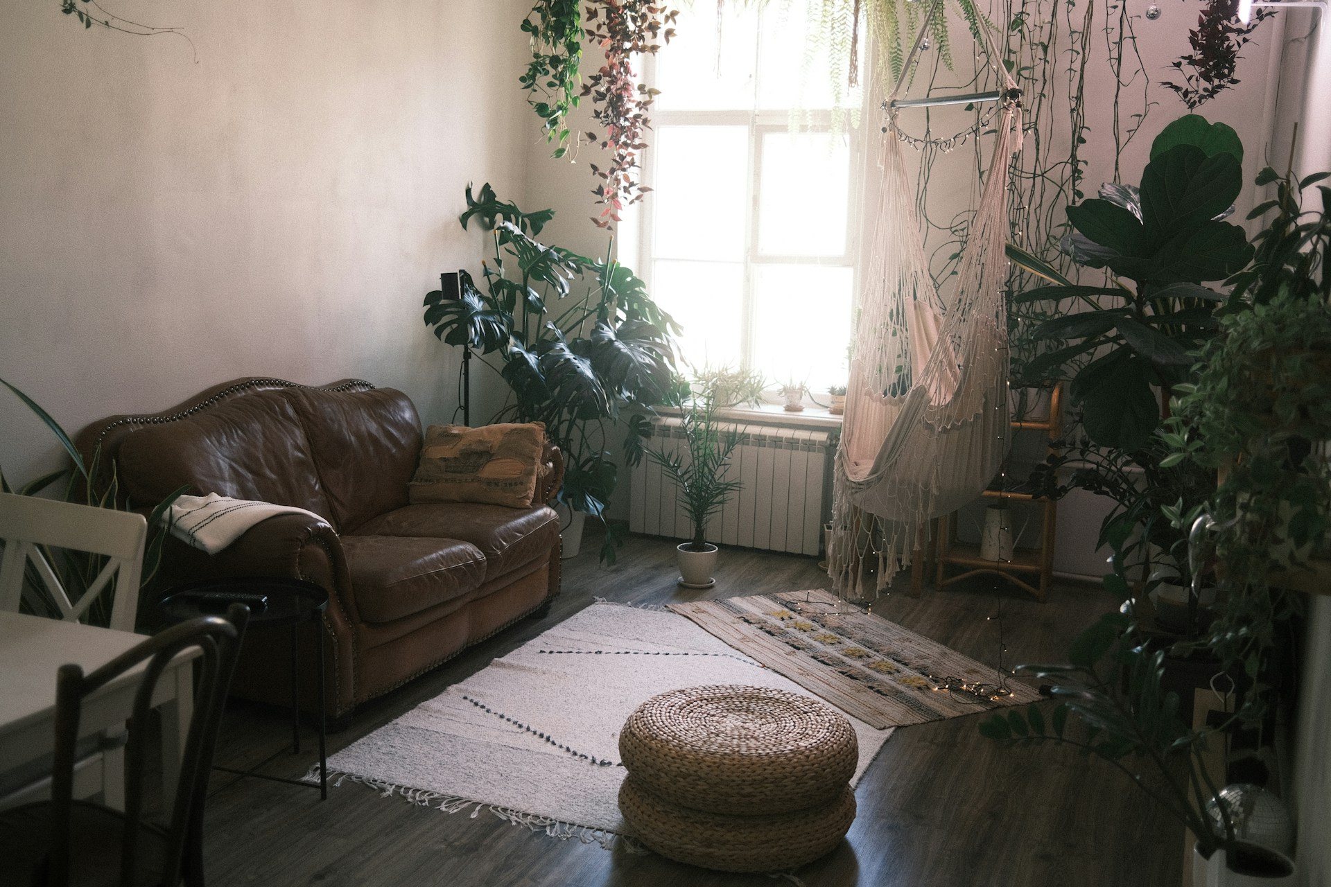 Un elegante salón con plantas de interior | Fuente: Unsplash