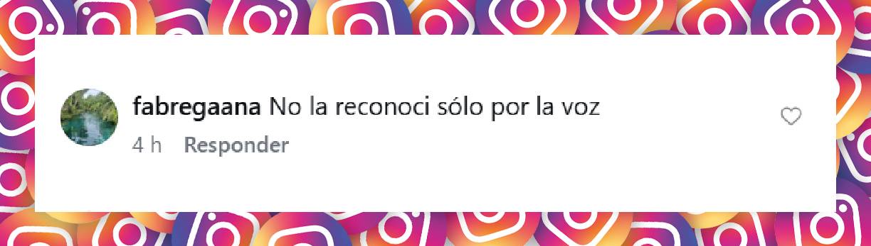 Comentario de una usuaria | Fuente: Instagram/univision