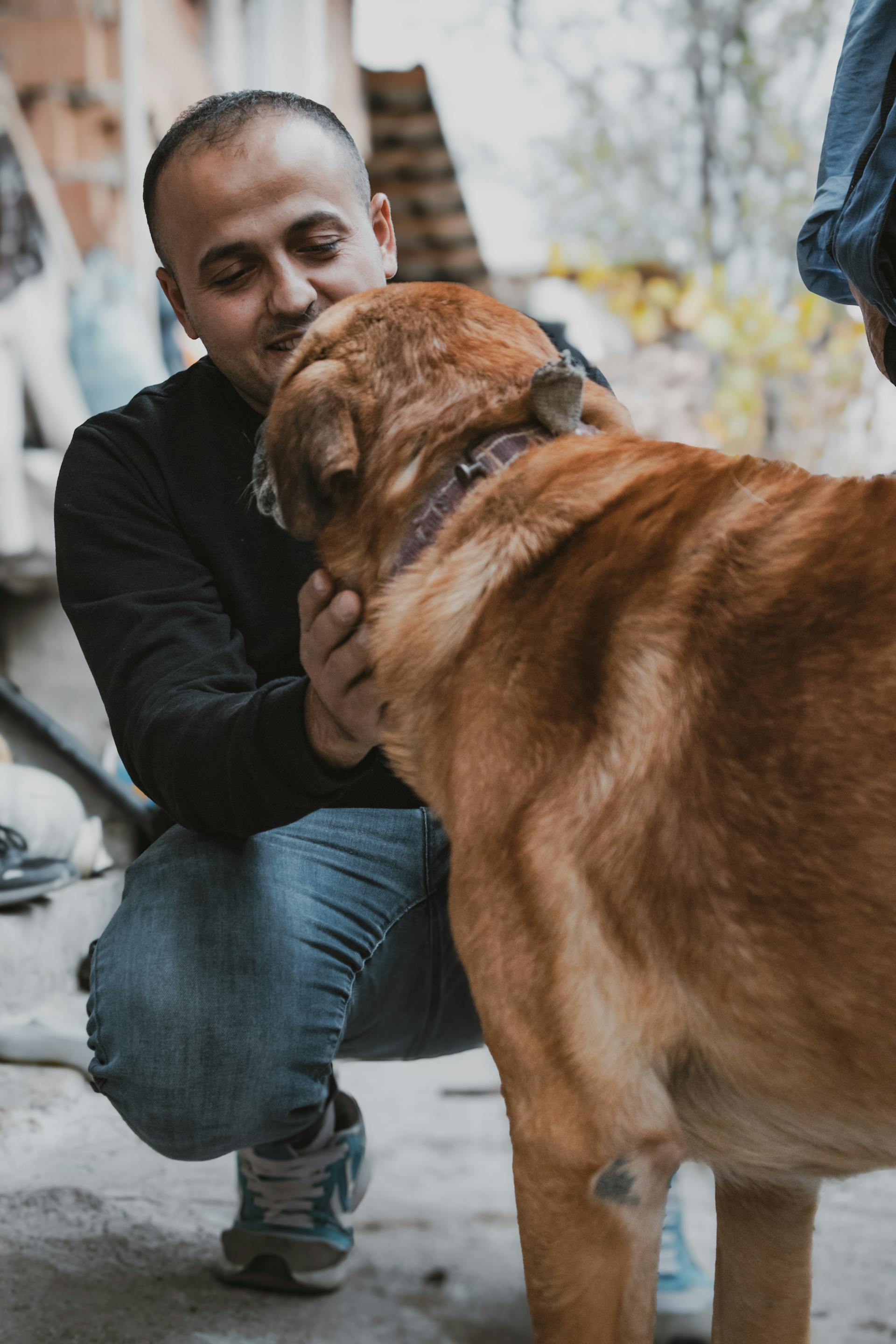 Un hombre agachado acariciando a un perro | Fuente: Pexels