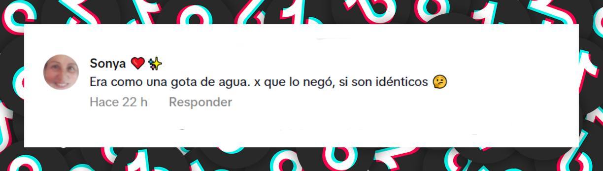 Comentario de una usuaria sobre el parecido de José Luis Rodríguez y su supuesto hijo | Fuente: TikTok/famososunivision
