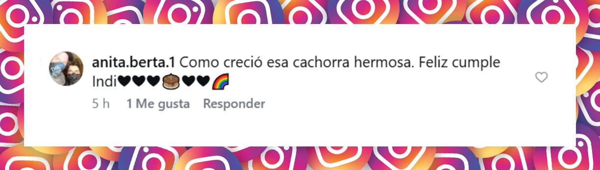 Comentario de una usuaria | Fuente: Instagram/facundoaranatagle