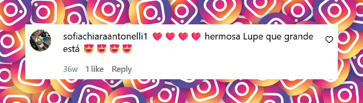 Comentario de una persona sobre Lupe, la hija de Rocío Igarzábal | Fuente: Instagram/rochi_igarzabalok