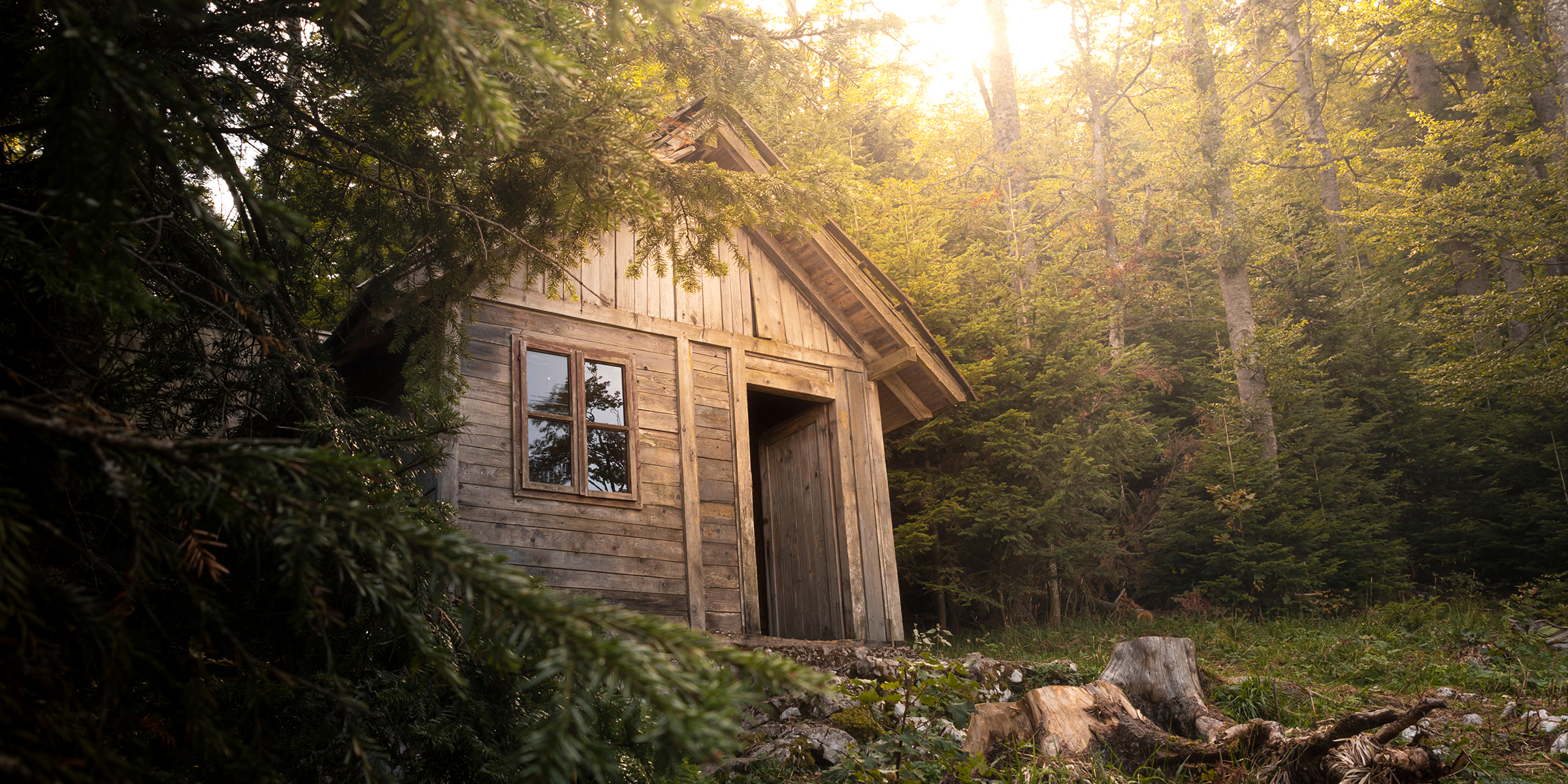 Una pequeña cabaña en el bosque | Fuente: Shutterstock