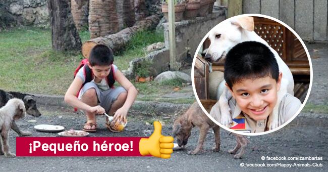 Historia de niño de 9 años que cumplió su sueño y logró tener un refugio para animales abandonados