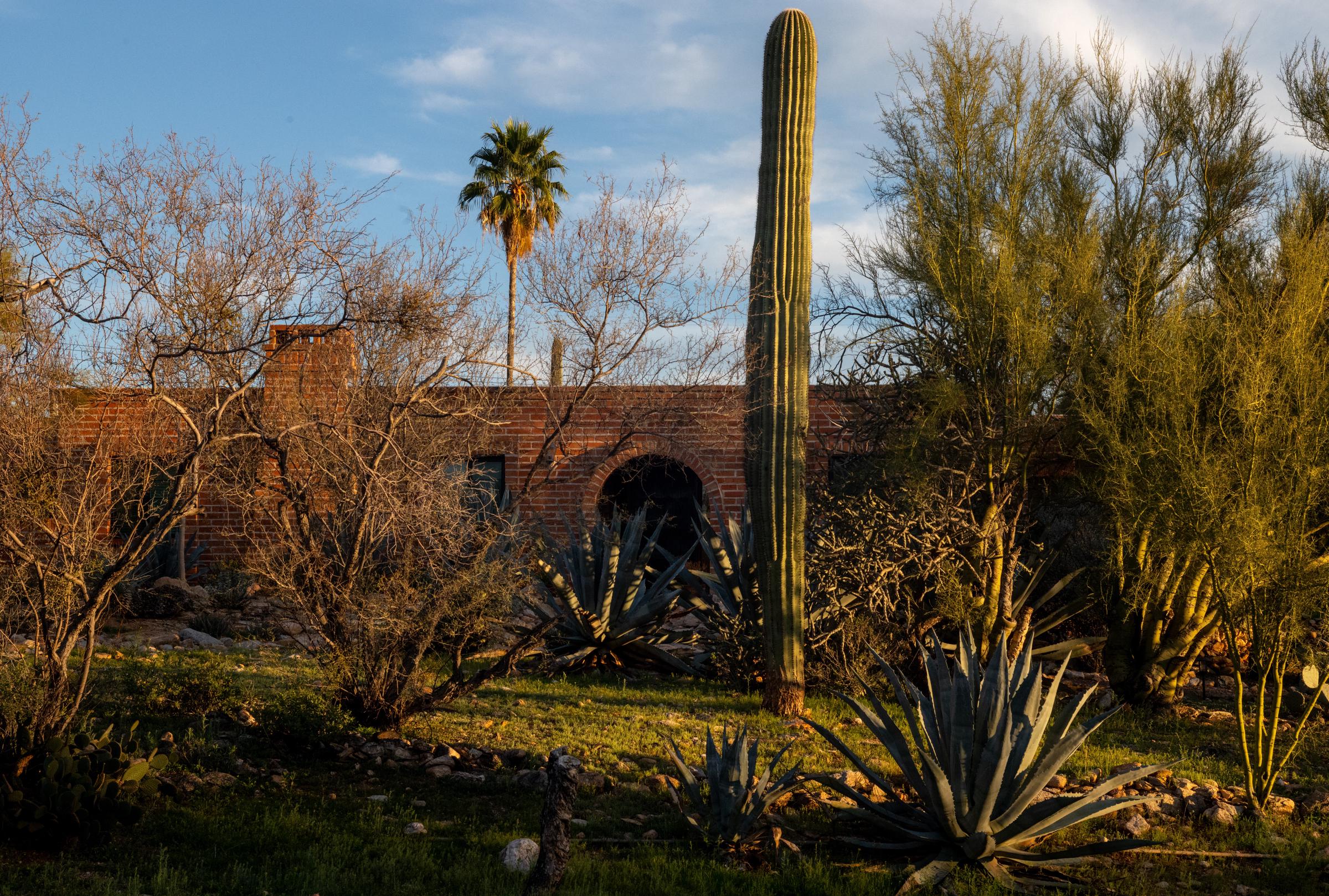 La residencia de Nancy Guthrie al atardecer del 15 de febrero de 2026 | Fuente: Getty Images