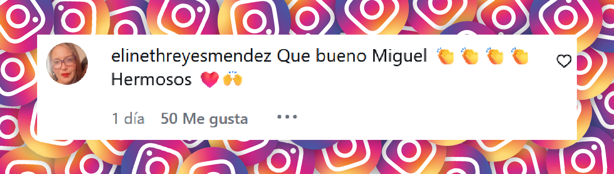 Comentario de una usuaria sobre la boda de Loren Michelle Moly, la hija mayor de Miguel Moly | Fuente: Instagram/miguelmoly