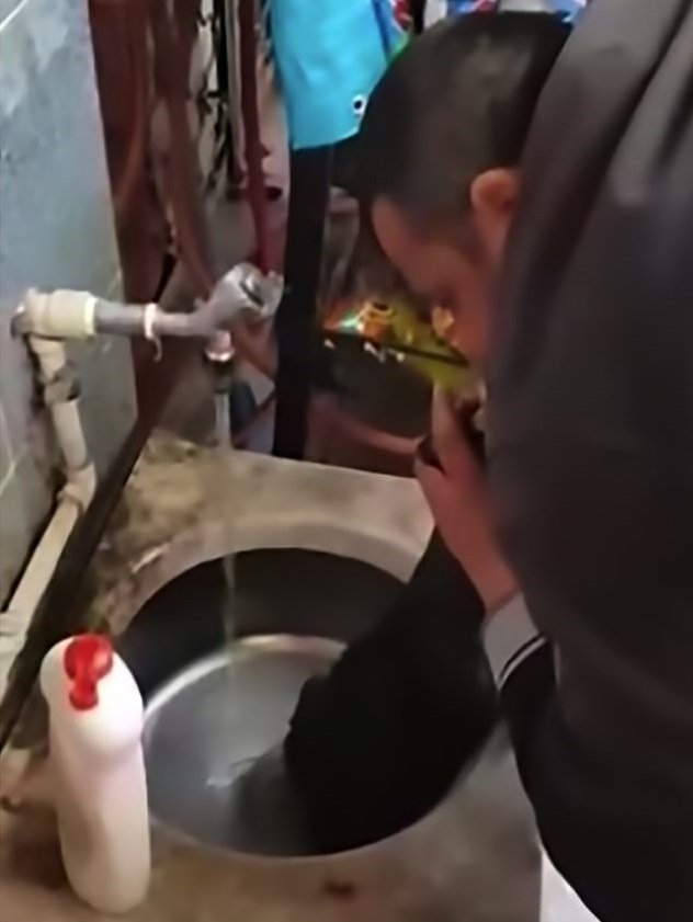 Hombre coloca bajo un chorro de agua a canino para hacerlo reaccionar. | Foto: YouTube/World News for all