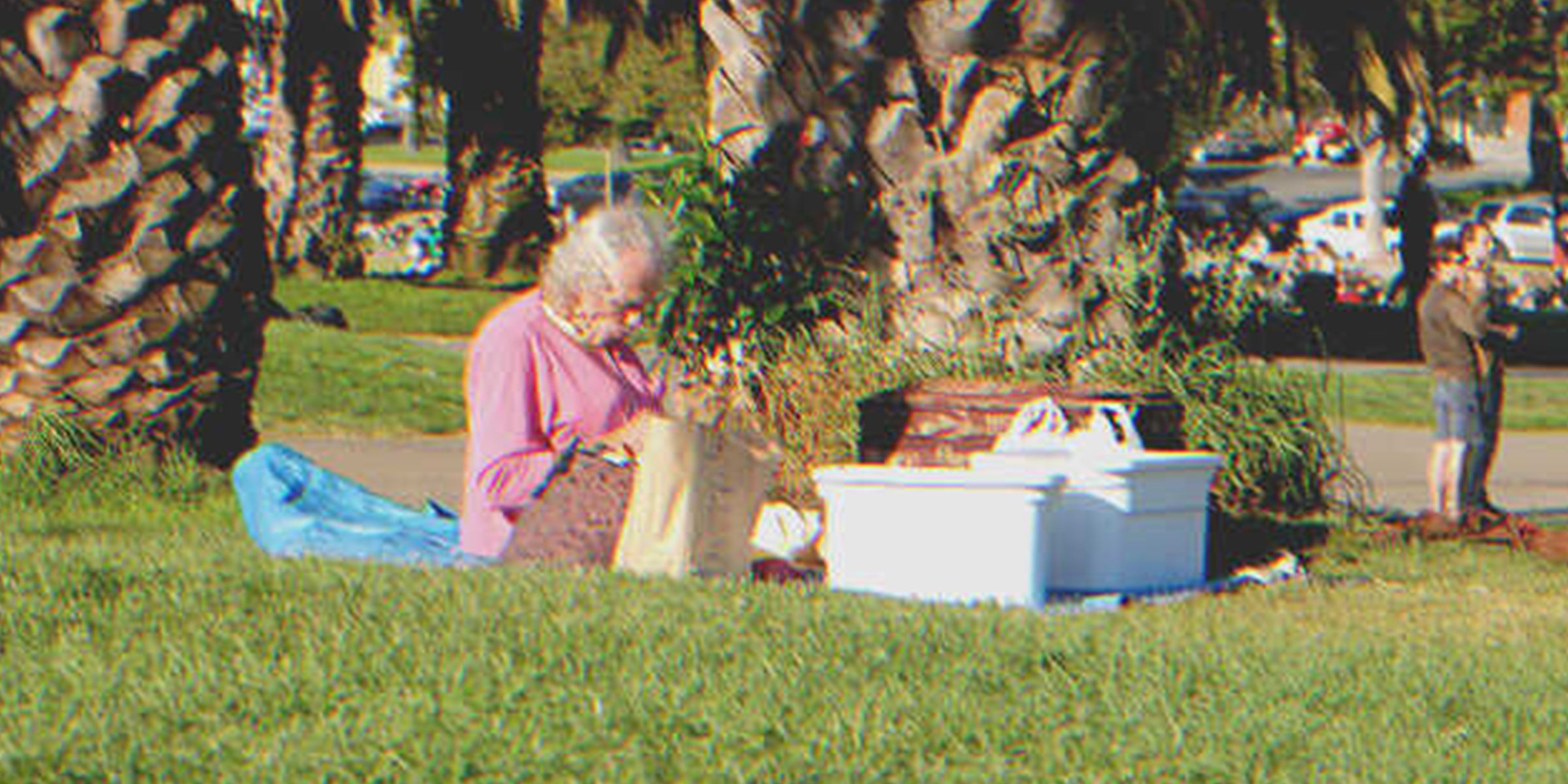 Una mujer mayor sola en un picnic en el parque | Foto: Flickr/Joshua Ganderson