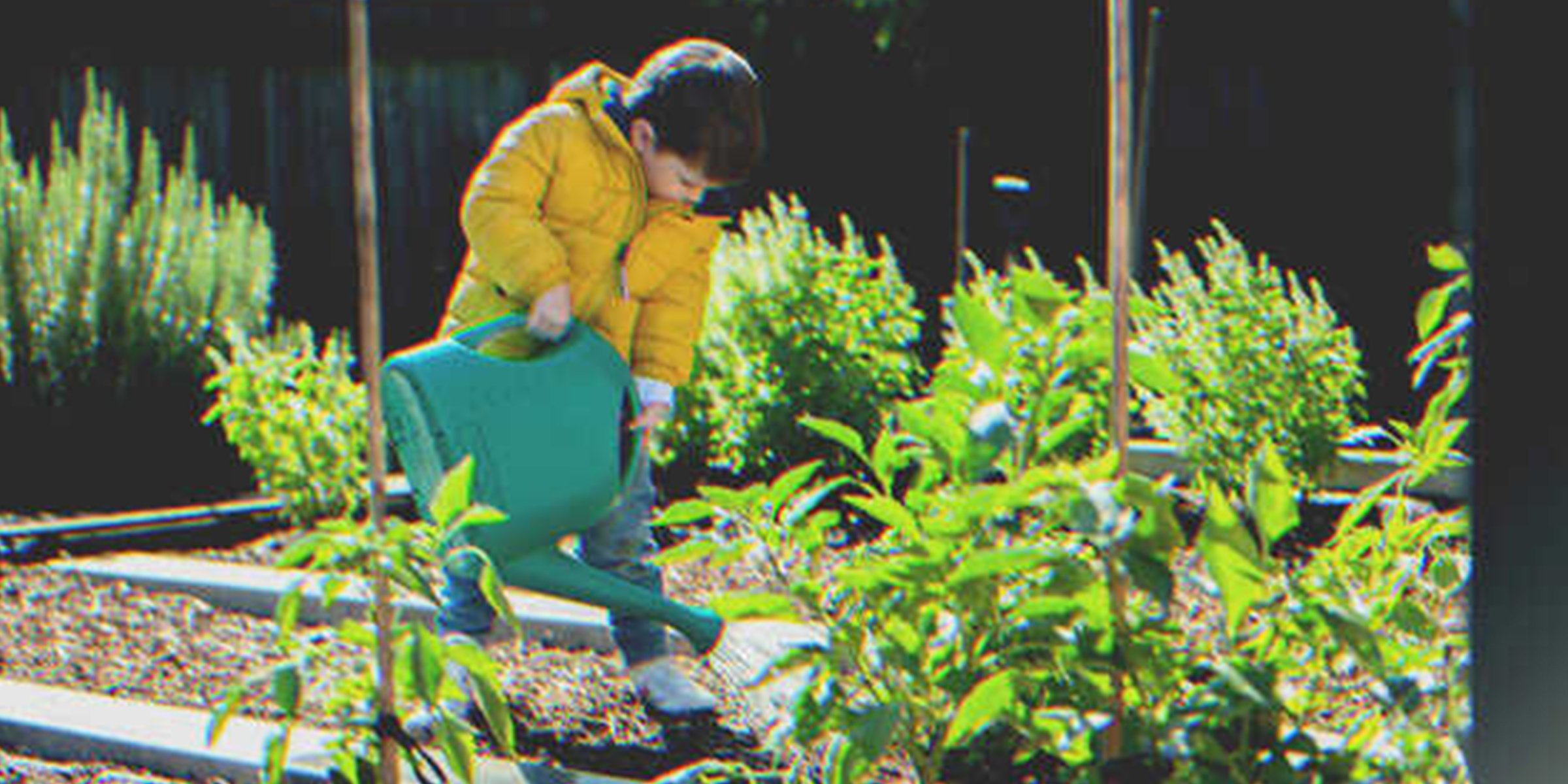 Un niño regando plantas | Foto: Shutterstock