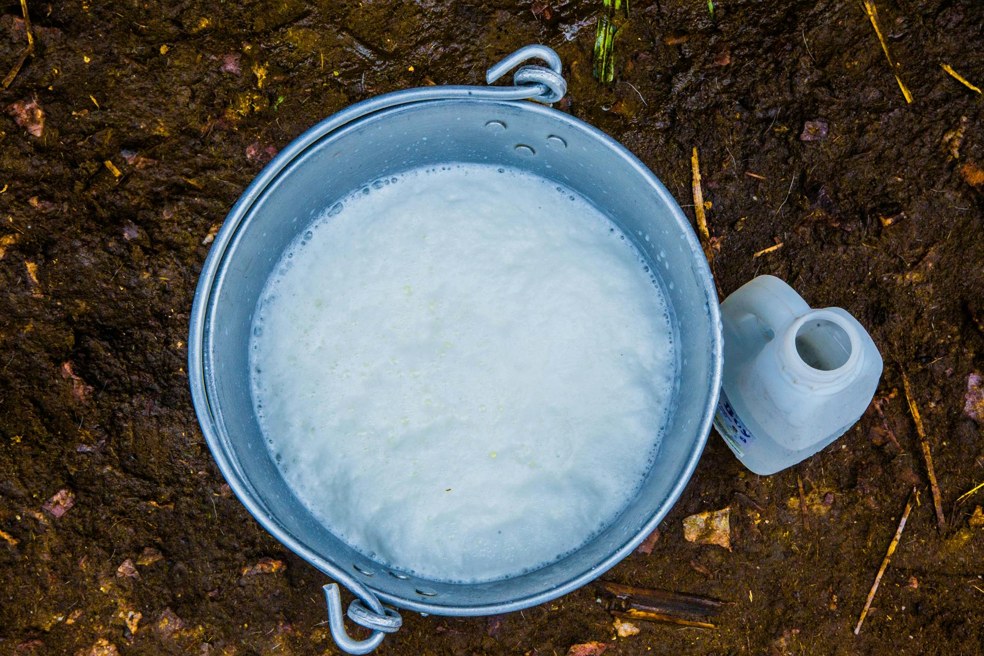 Un cubo de agua jabonosa | Fuente: Pexels