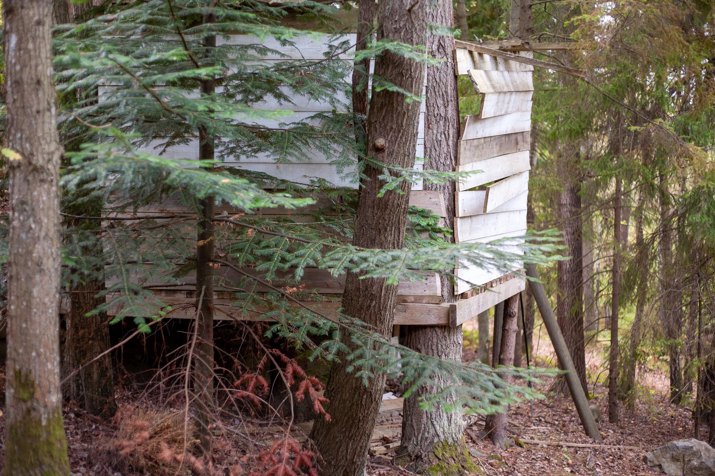 Una pequeña cabaña en el bosque | Fuente: Freepik