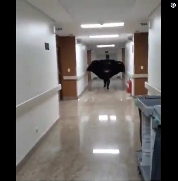 Doctor camina por los pasillos de un hospital vestido como Batman | Foto: Twitter / El Límite Del Bien