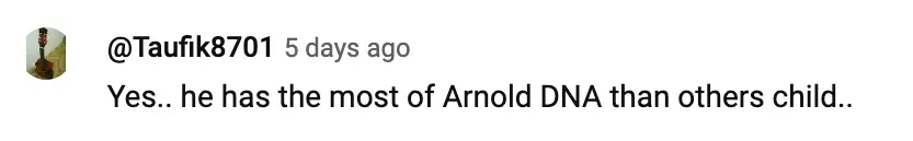 "Si, es el que tiene más ADN de Arnold de todos." | Comentarios de los usuarios sobre el vídeo de extratv en YouTube | Foto: youtube.com/extratv