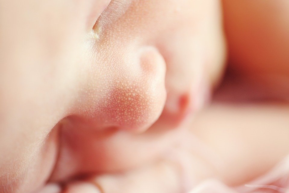 Bebé recién nacido │ Imagen tomada de: Pixabay