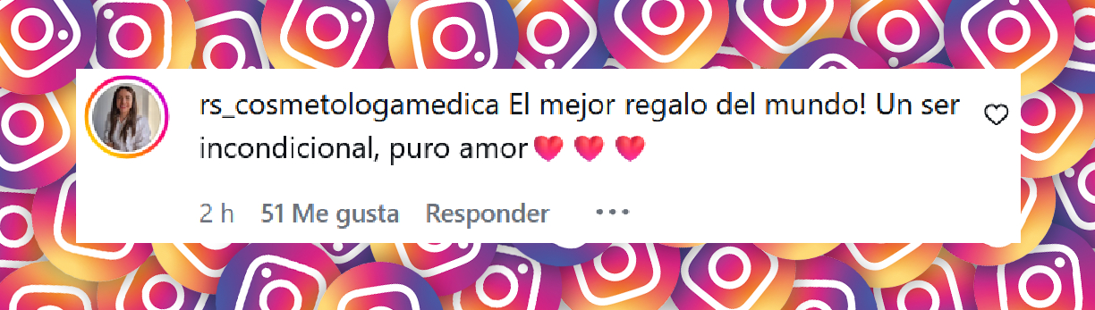 Comentario de una usuaria sobre la sorpresa de Agustina Cherri para su mamá | Fuente: Instagram/infobae