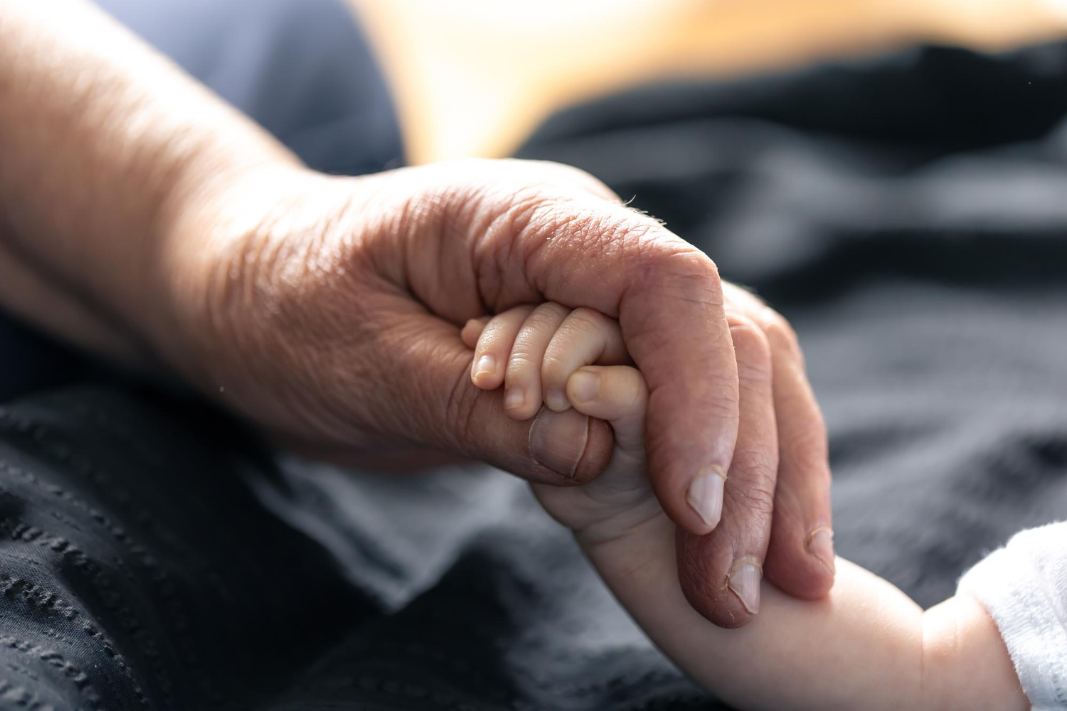 Una persona anziana che tiene per mano un bambino | Fonte: Freepik