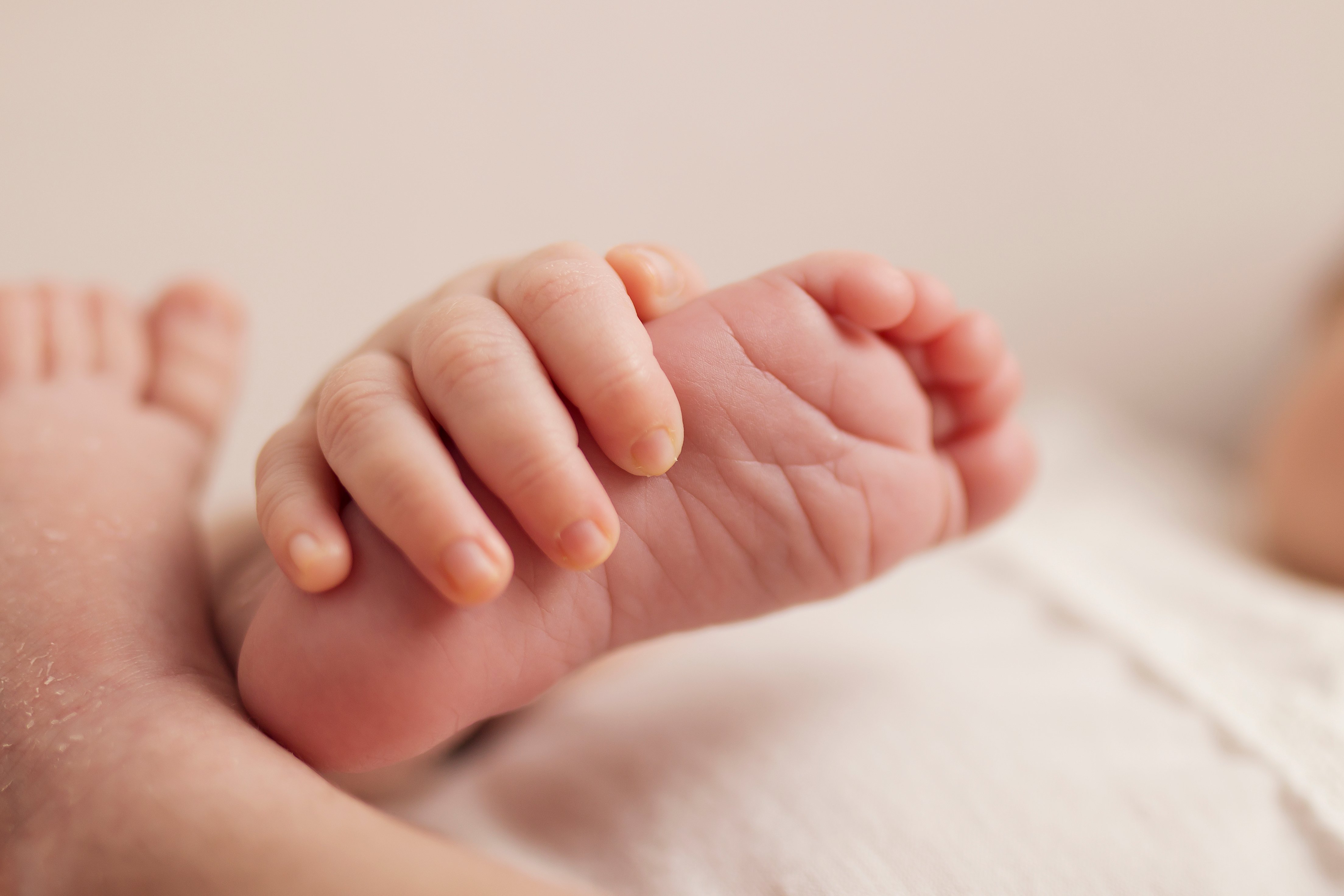 Pies de bebés. Foto: Shutterstock