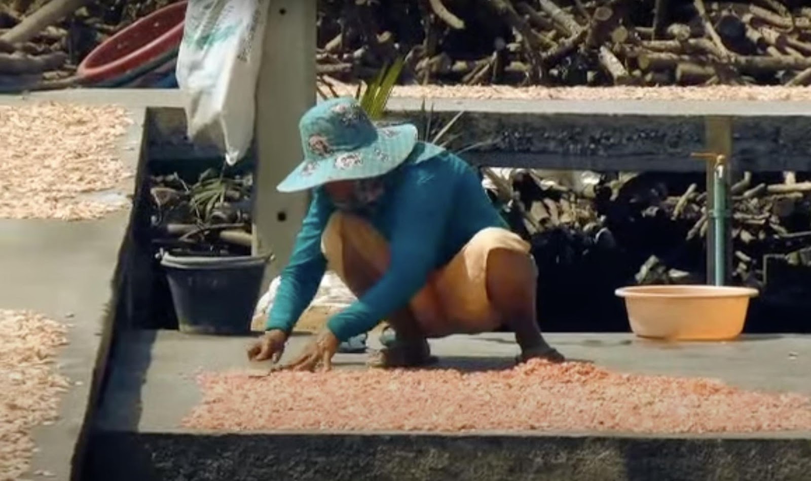 Un hombre extiende gambas a lo largo de un camino de cemento para que se sequen al sol. | Fuente: YouTube/ KRUA punto CO