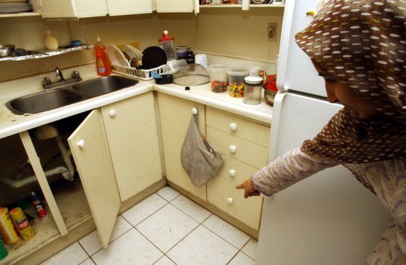 Una anciana señala cucarachas en el piso de su cocina. | Foto: Getty Images