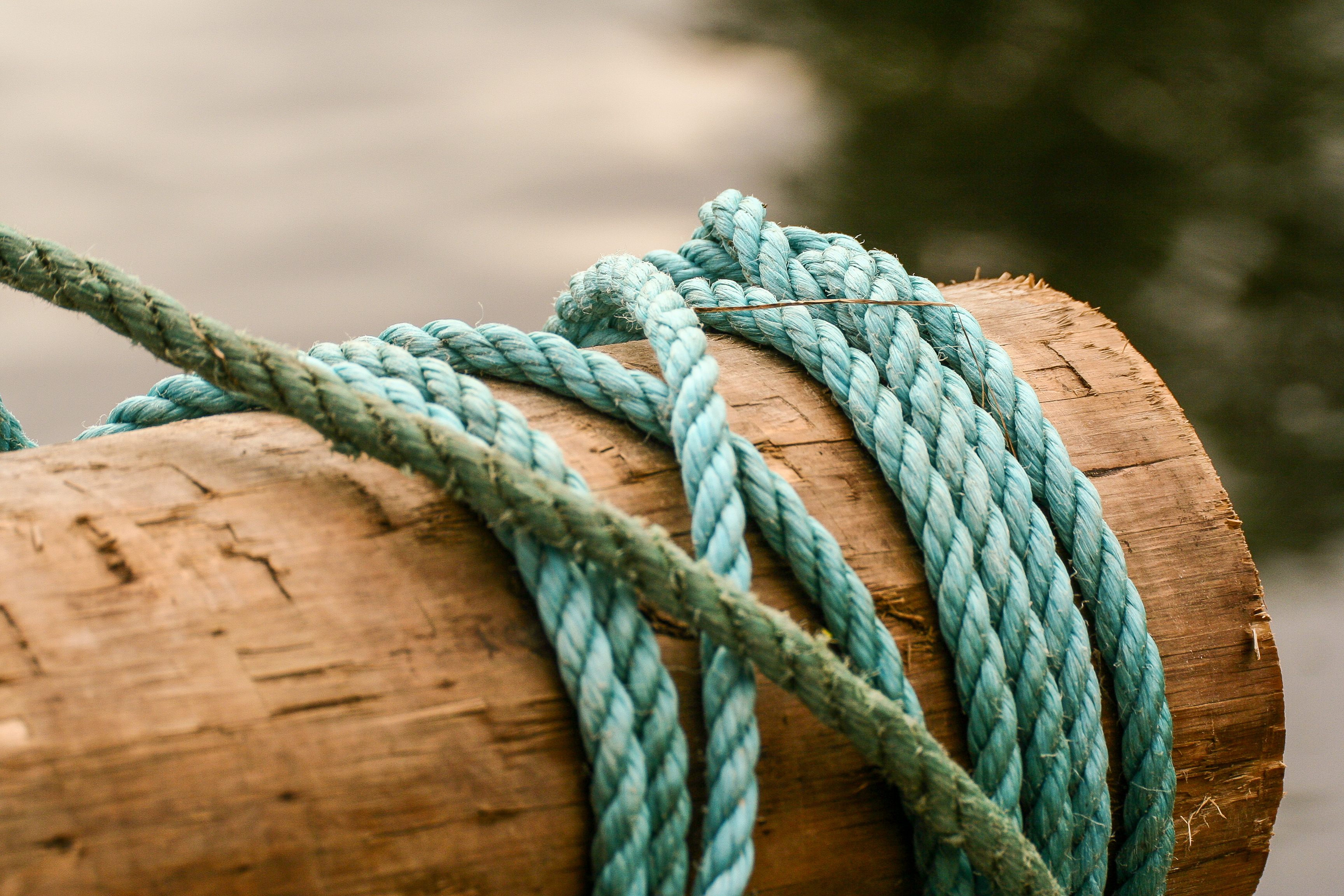 Nudo en una viga de madera. | Fuente: Shutterstock