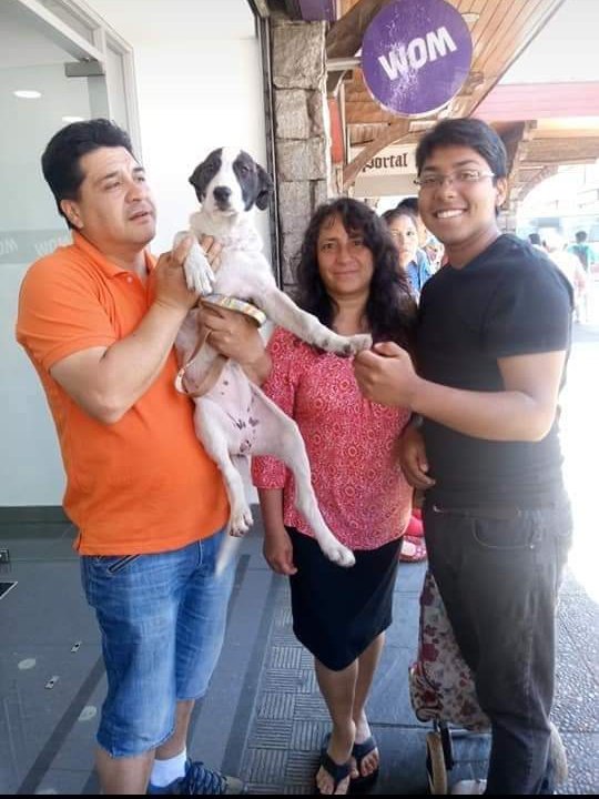 La familia que abandonó a Reynita. Fuente: Twitter/erwin_eladio