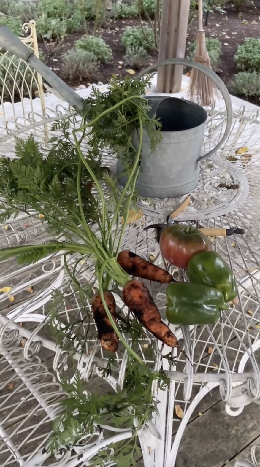 Las verduras recién cosechadas del huerto descansan sobre una mesa de patio de hierro forjado blanco muy decorada en Arcady, junto a unas tijeras de podar y una regadera vintage galvanizada. Con zanahorias enteras y frondosas, pimientos verdes crujientes y un tomate tradicional maduro cosechado durante el mantenimiento estacional de la parcela, esta escena rústica refleja la sencilla abundancia de la vida en una finca. Ella acompañó la publicación de TikTok con el siguiente comentario: "Una preciosa mañana de otoño en el huerto… otro día de limpieza 🤍🍁". | Fuente: TikTok/pamelaanderson