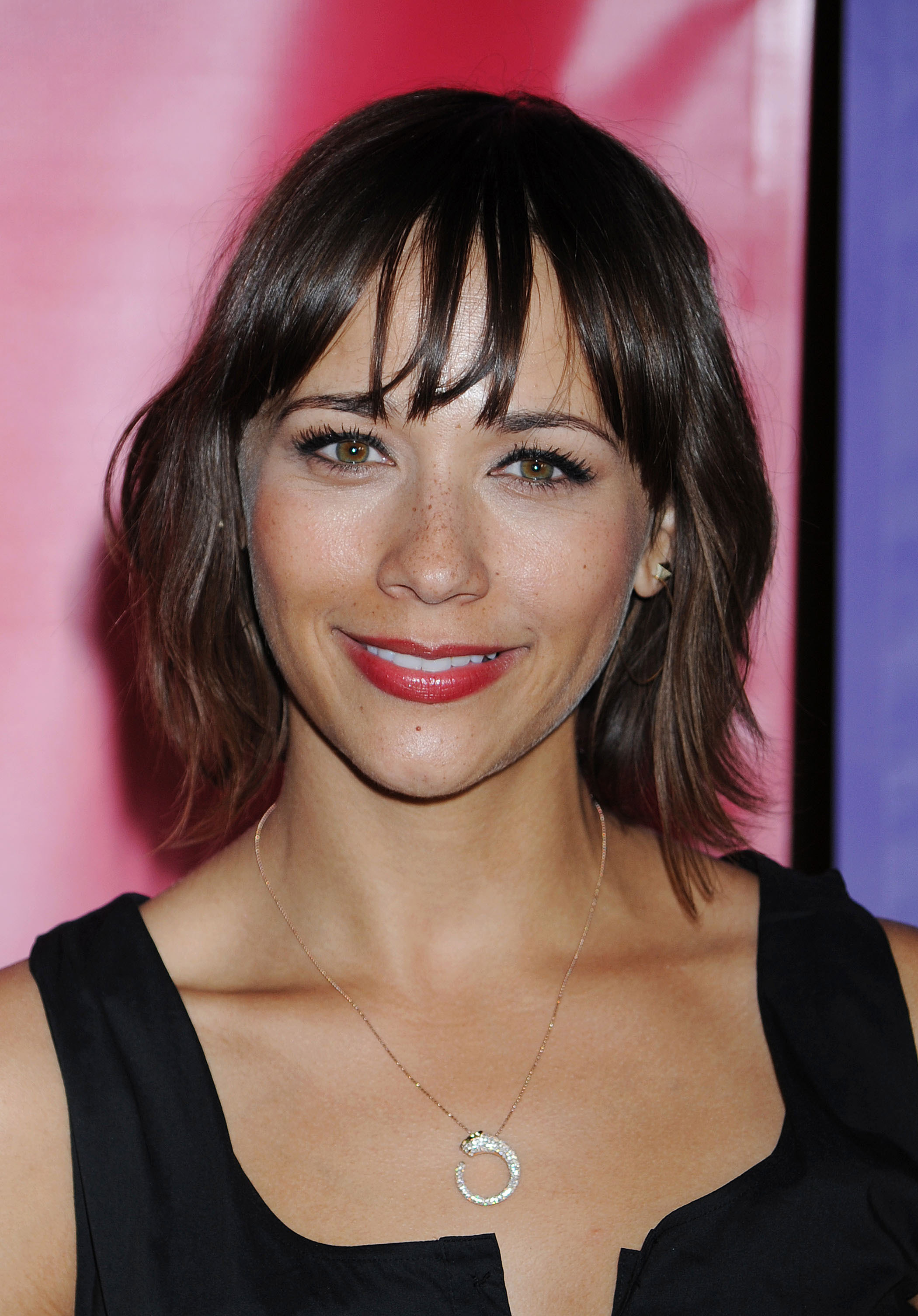 Rashida Jones llega al cóctel de la gira de prensa de NBC Universal en Pasadena, California, el 10 de enero de 2010 | Fuente: Getty Images