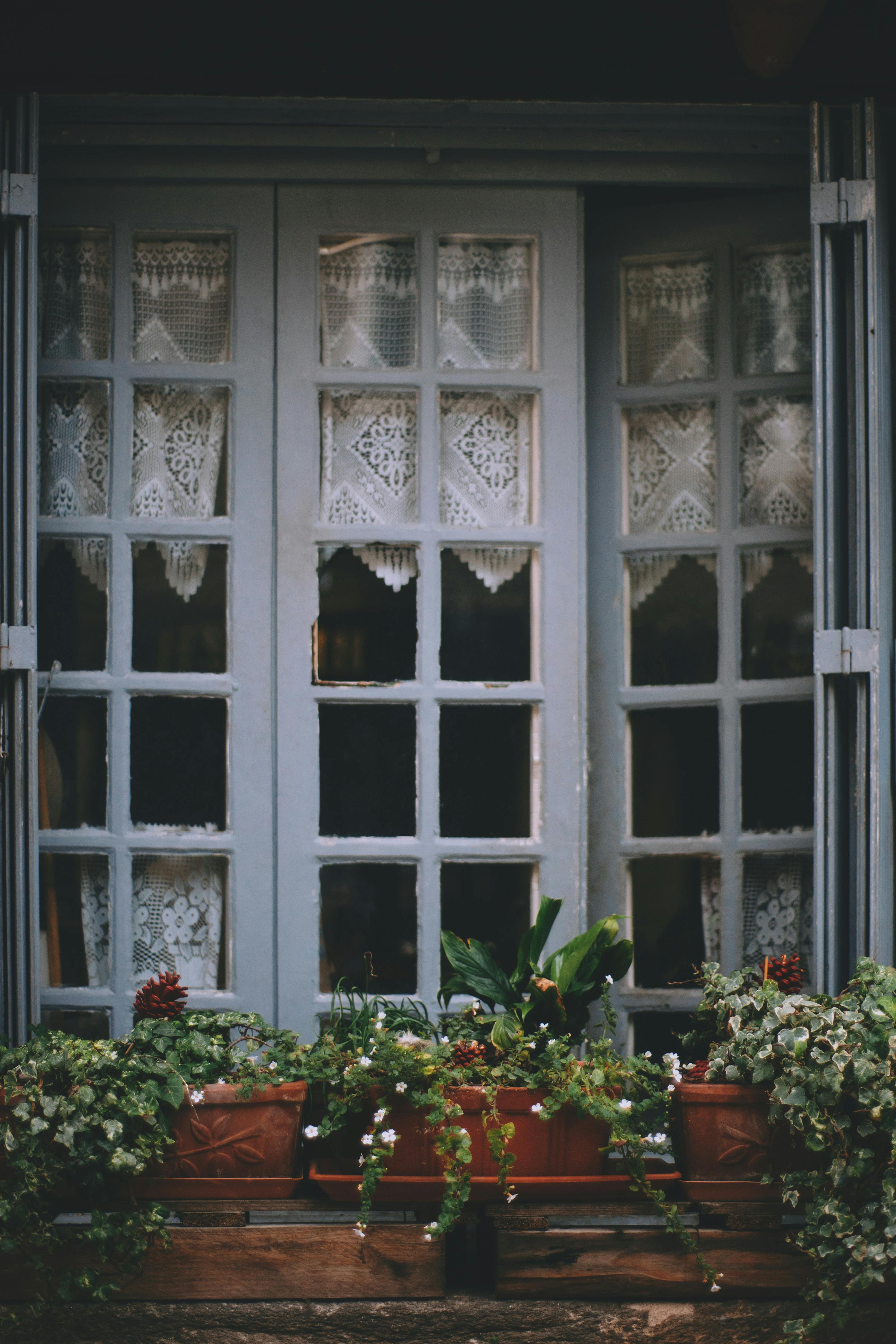 Vista de la ventana de una casa desde lejos | Fuente: Pexels