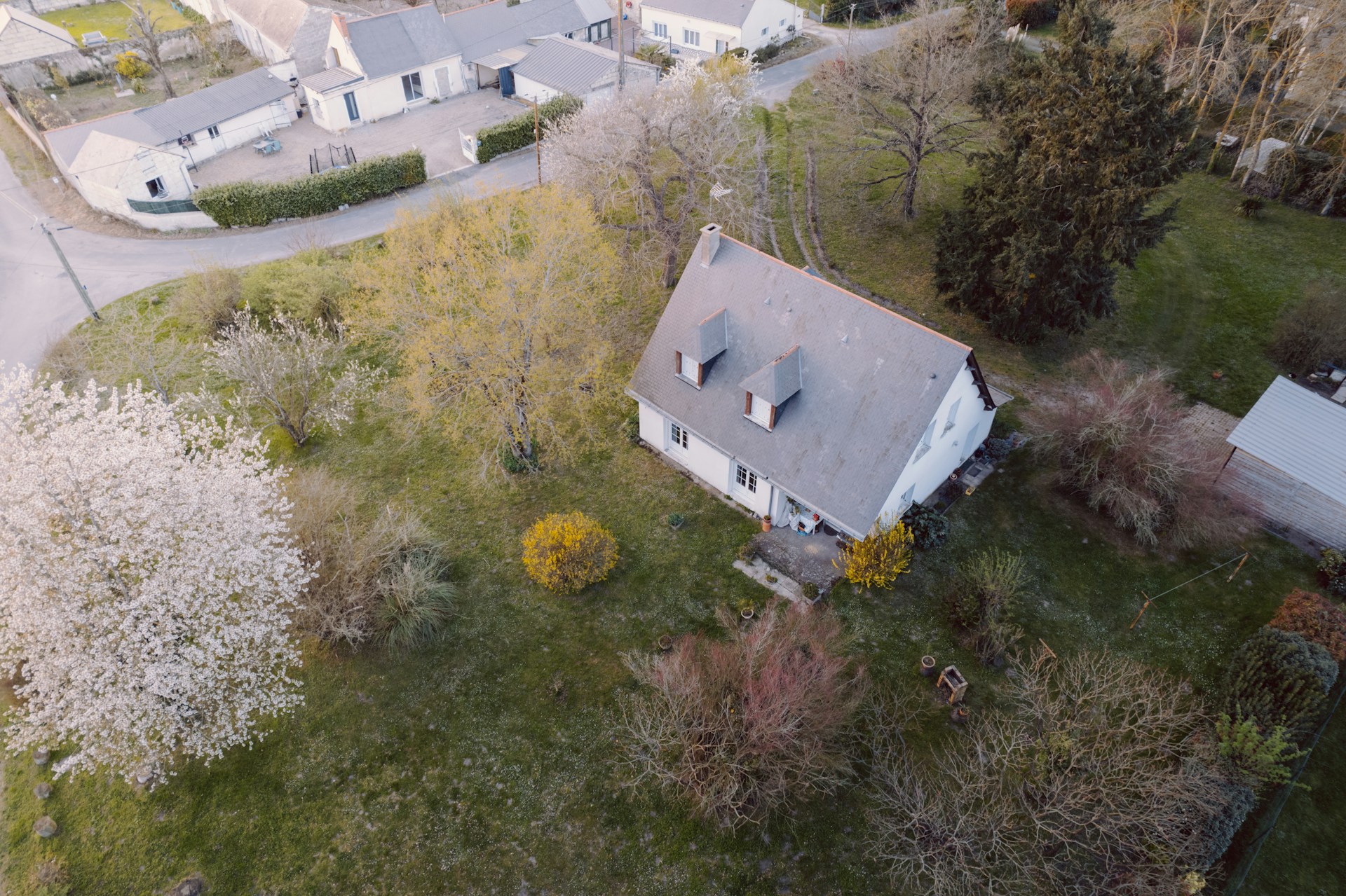 Vista aérea de una casa con césped adornado con árboles | Fuente: Unsplash