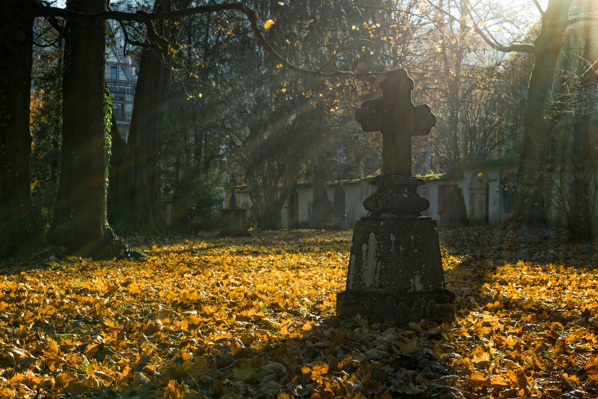 Rayos de sol en un cementerio | Foto: Pexels