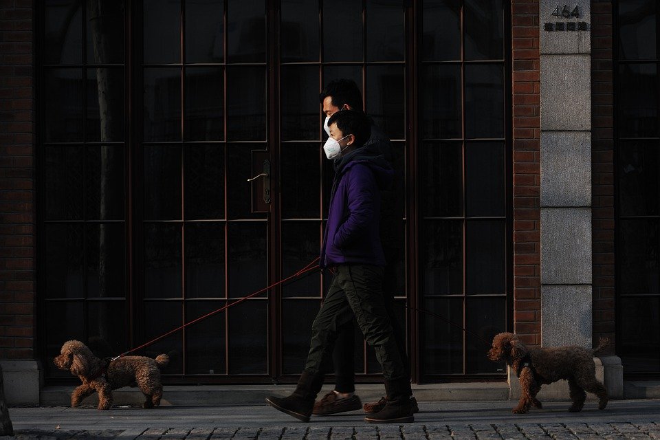 Personas usando mascarilla sacando a su perro a dar un paseo. | Foto: Pixabay