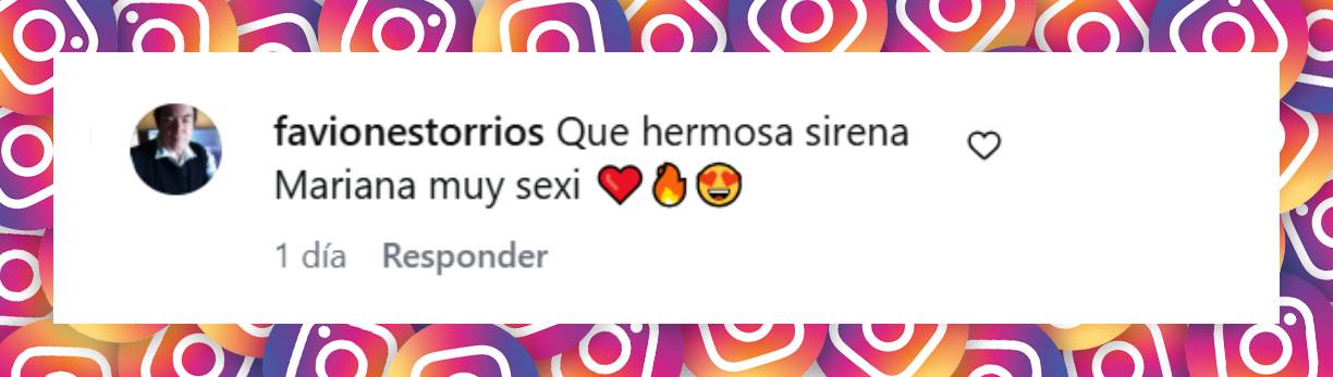 Comentario de un usuario | Fuente: Instagram/marianafabbiani