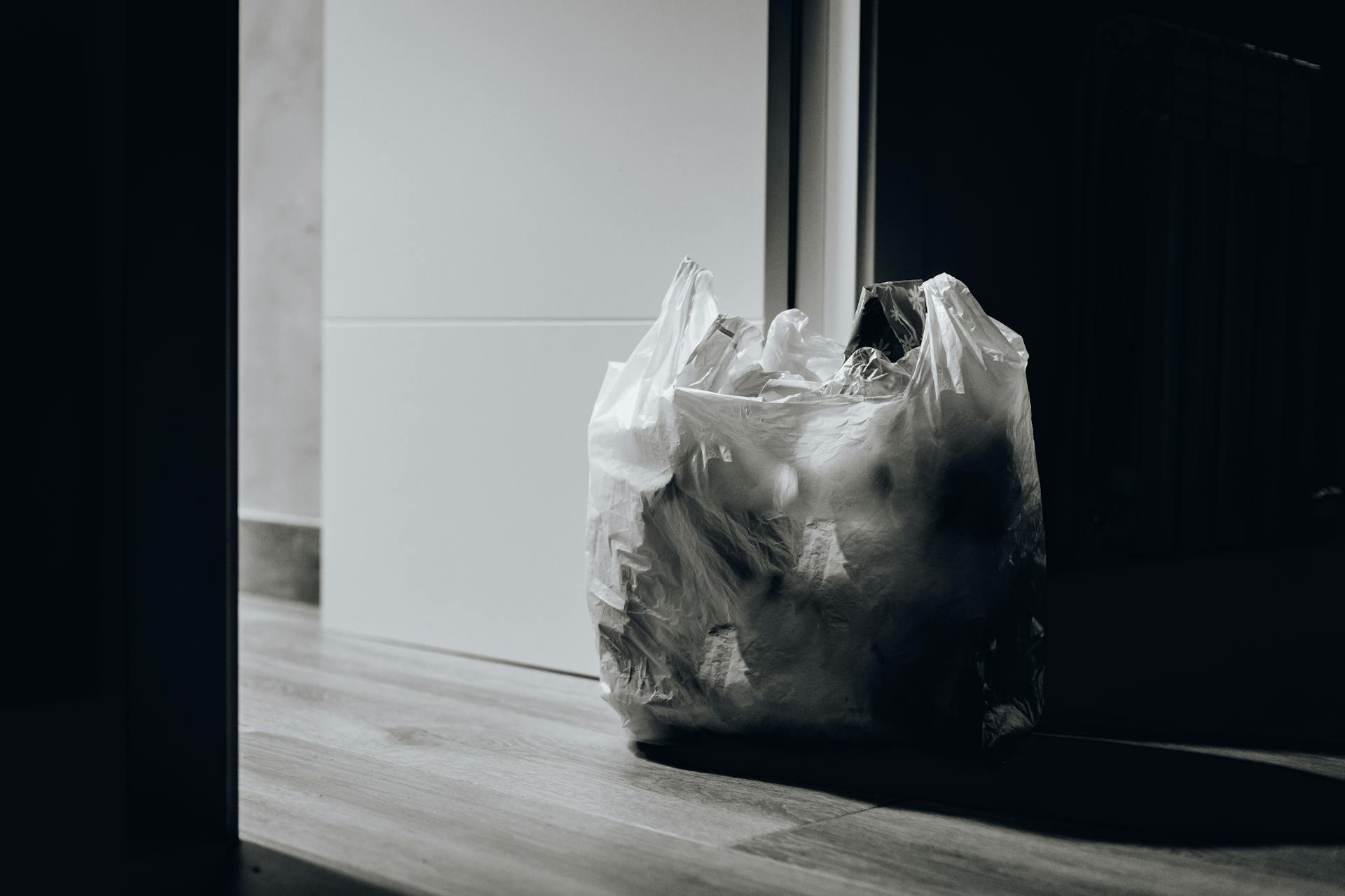 Una bolsa llena de basura delante de una puerta | Fuente: Pexels