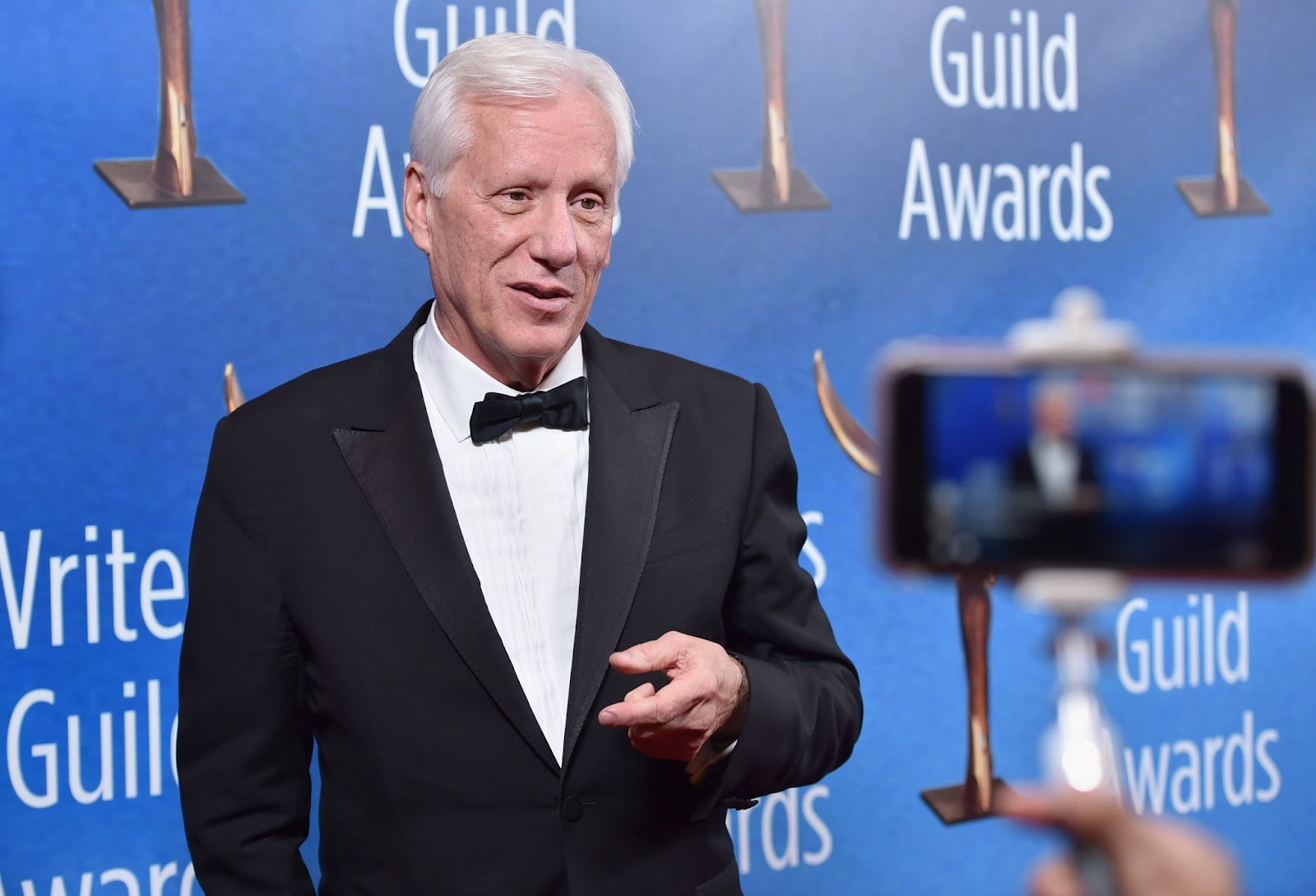 James Woods en la ceremonia de entrega de los premios Writers Guild Awards 2017 en Los Ángeles, el 19 de febrero en Beverly Hills, California. | Fuente: Getty Images