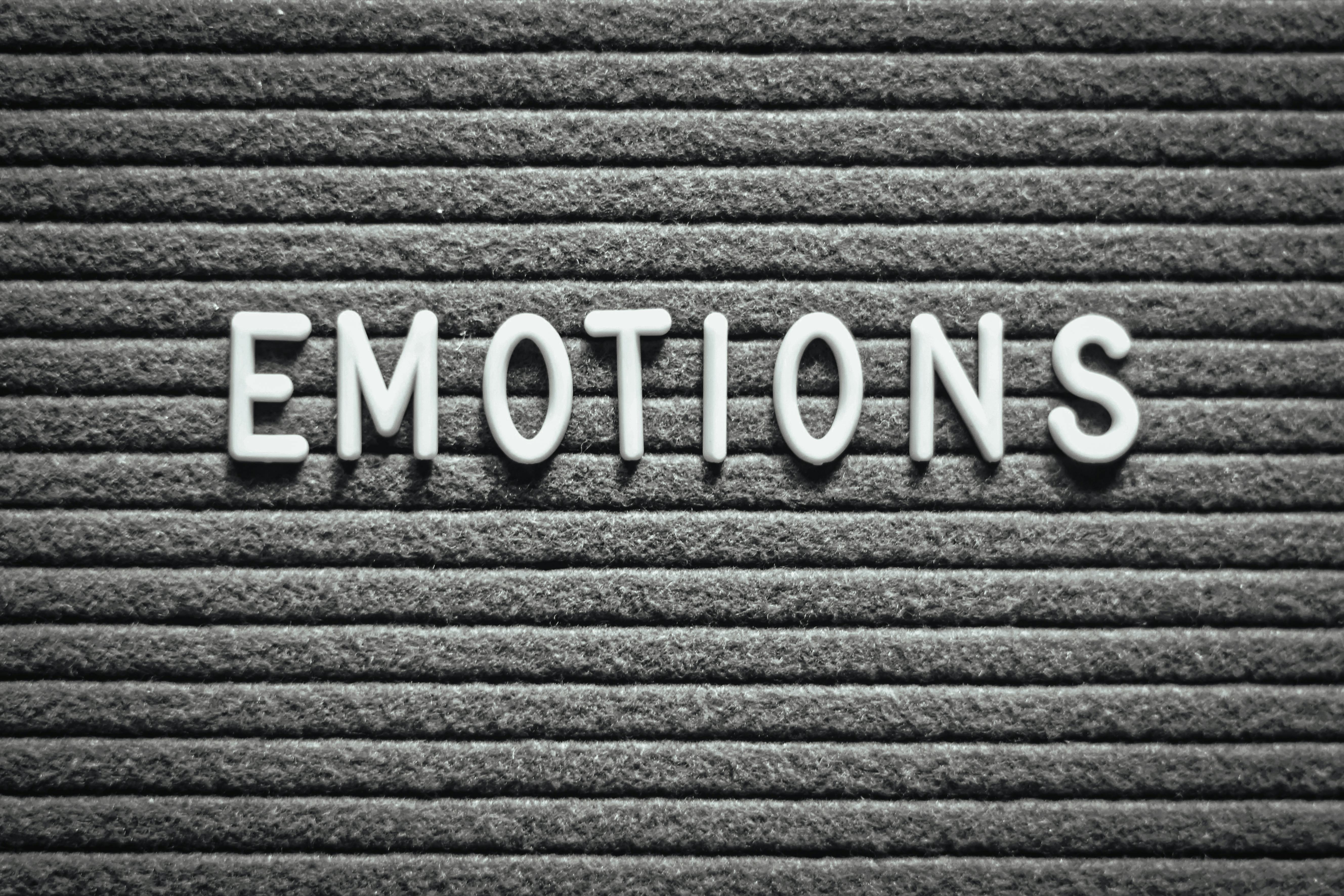 Imagen con fines ilustrativos | Foto: Pexels