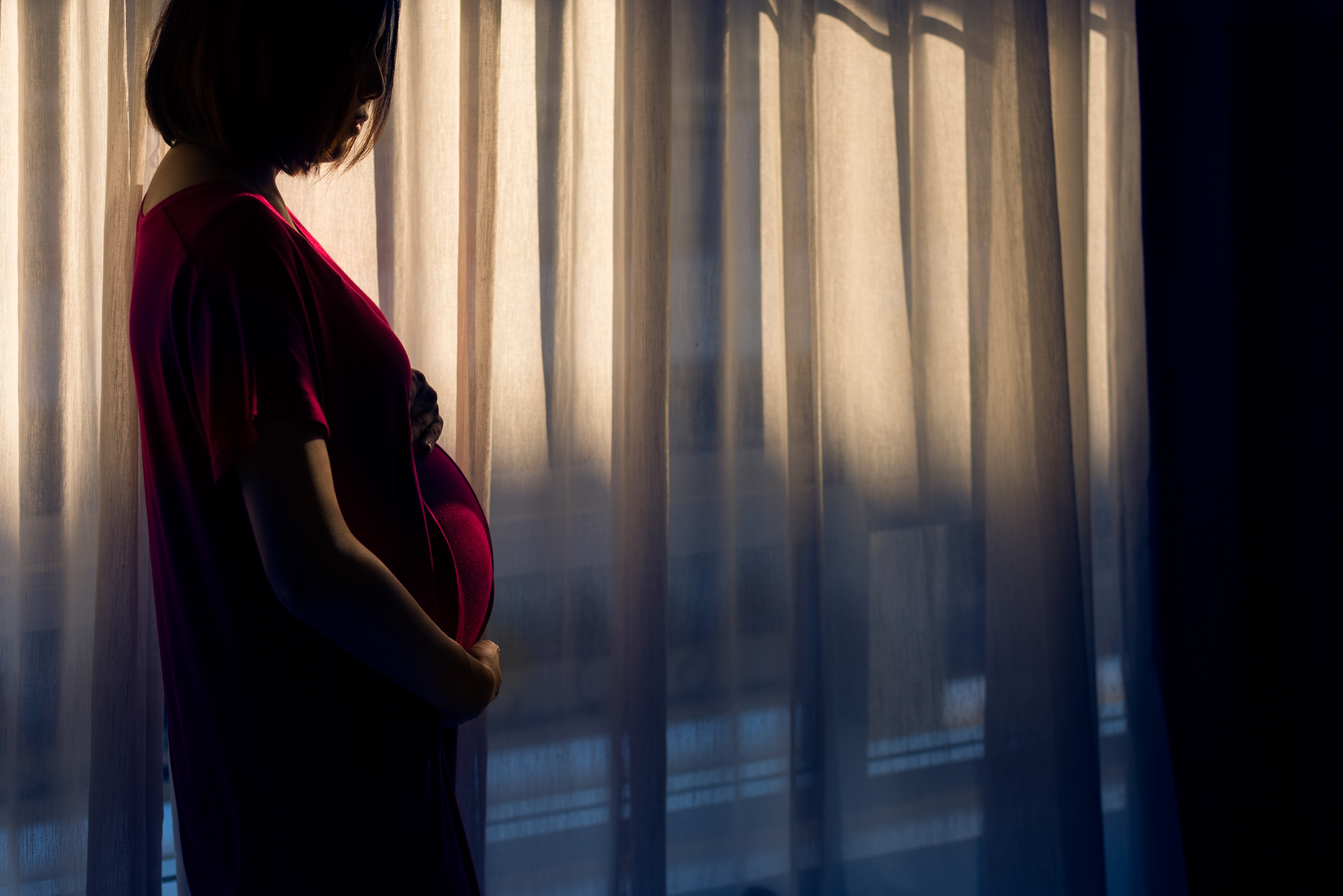 Mujer embarazada ama la alegría de ser madre | Fuente: Shutterstock.com